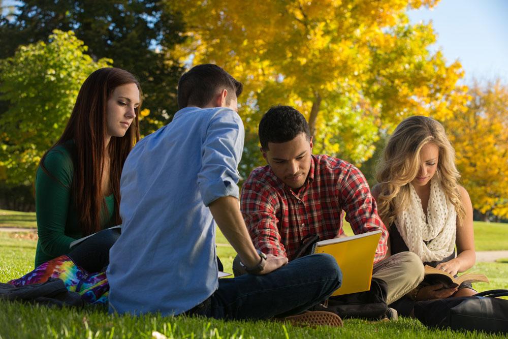 students studying