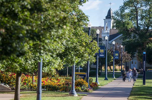 campus trees