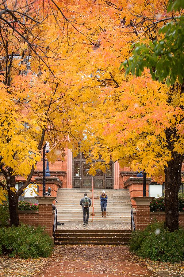 Campus in the fall.